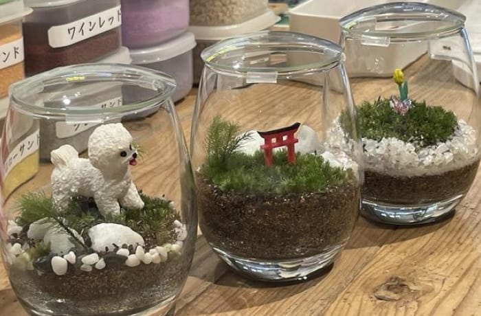 �I�t�^�C���̗l�q