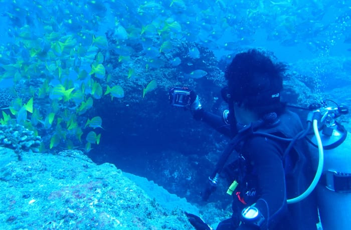 �I�t�^�C���̗l�q