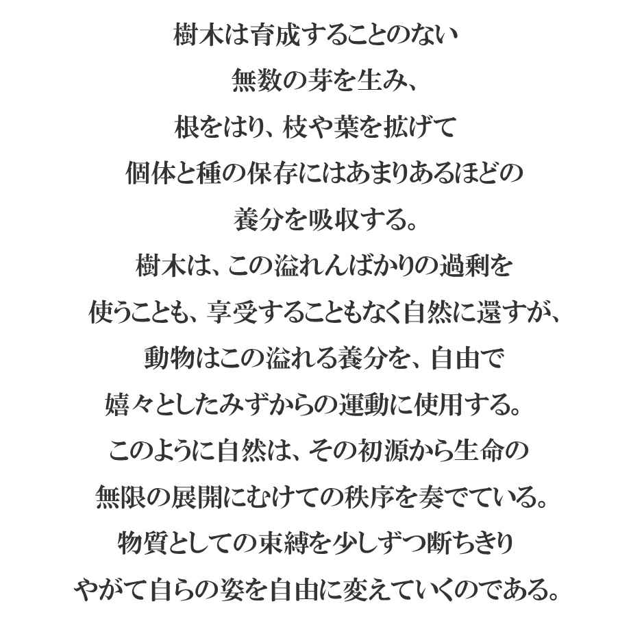 詩